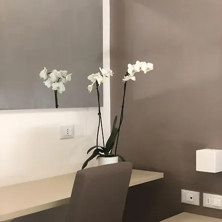 Il Veliero Hotel