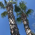 Il Veliero فندق